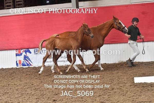 JAC_5069 - 9 Zinzipan