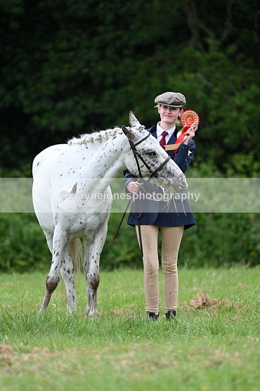 WJ7_4531 - Class 14B Prettiest Mare