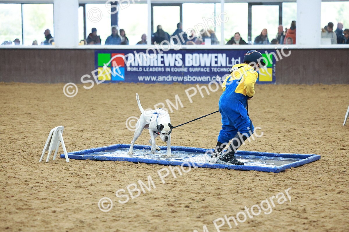 SBM_002310 - Class 3 - Horse & Hound (60cm)