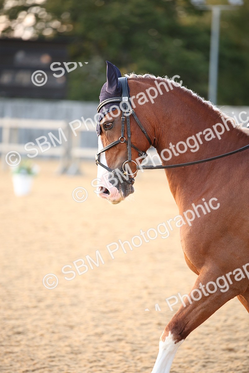SBM_31628 - D11 - Small Tour Championship - Prelim 13