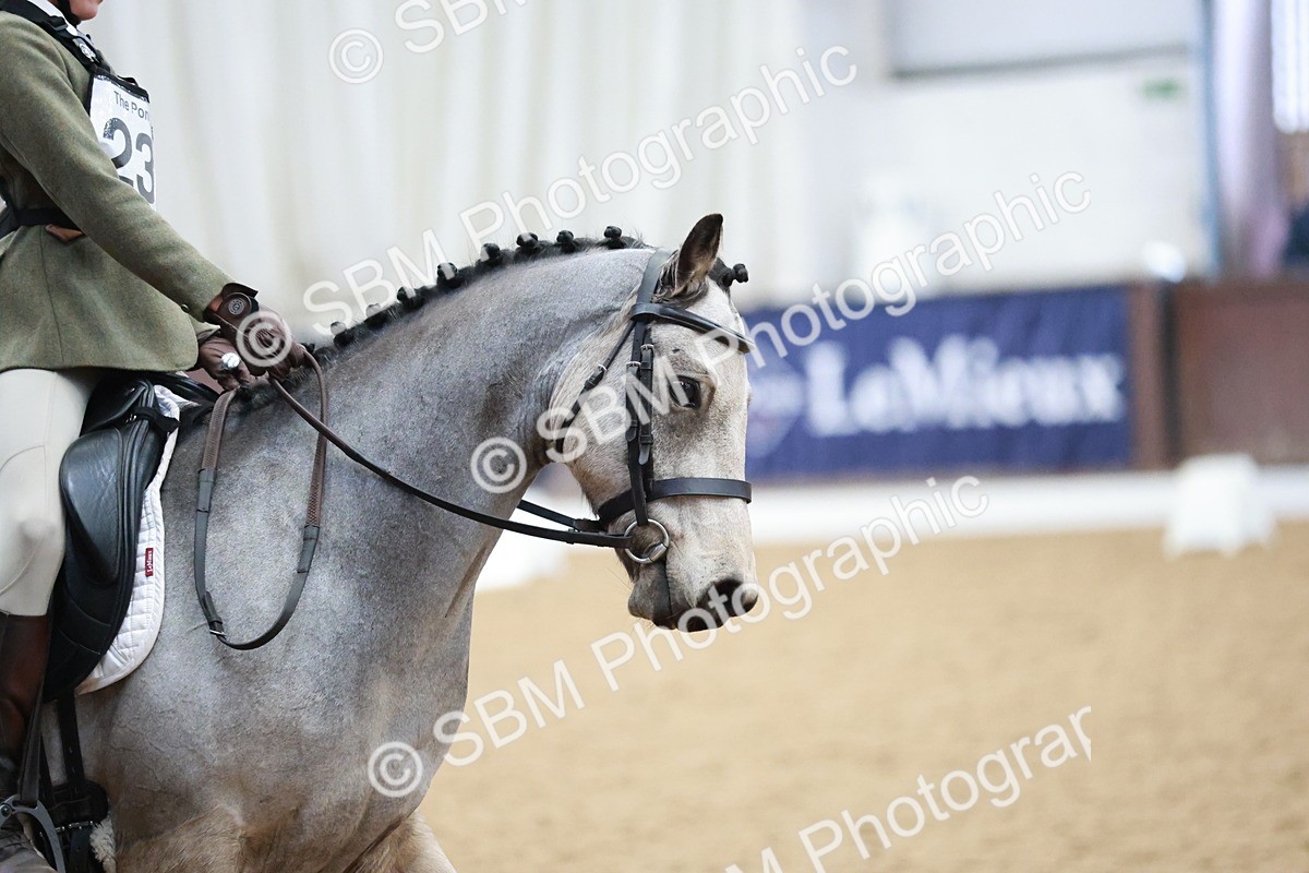 SBM_003777 - Class 2 - Novice 2020