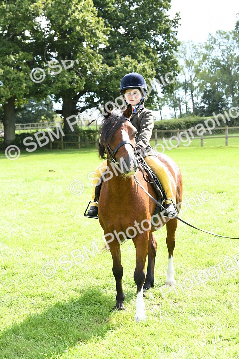 SBM_42589 - S20 - Lead Rein Mountain & Moorland Pony
