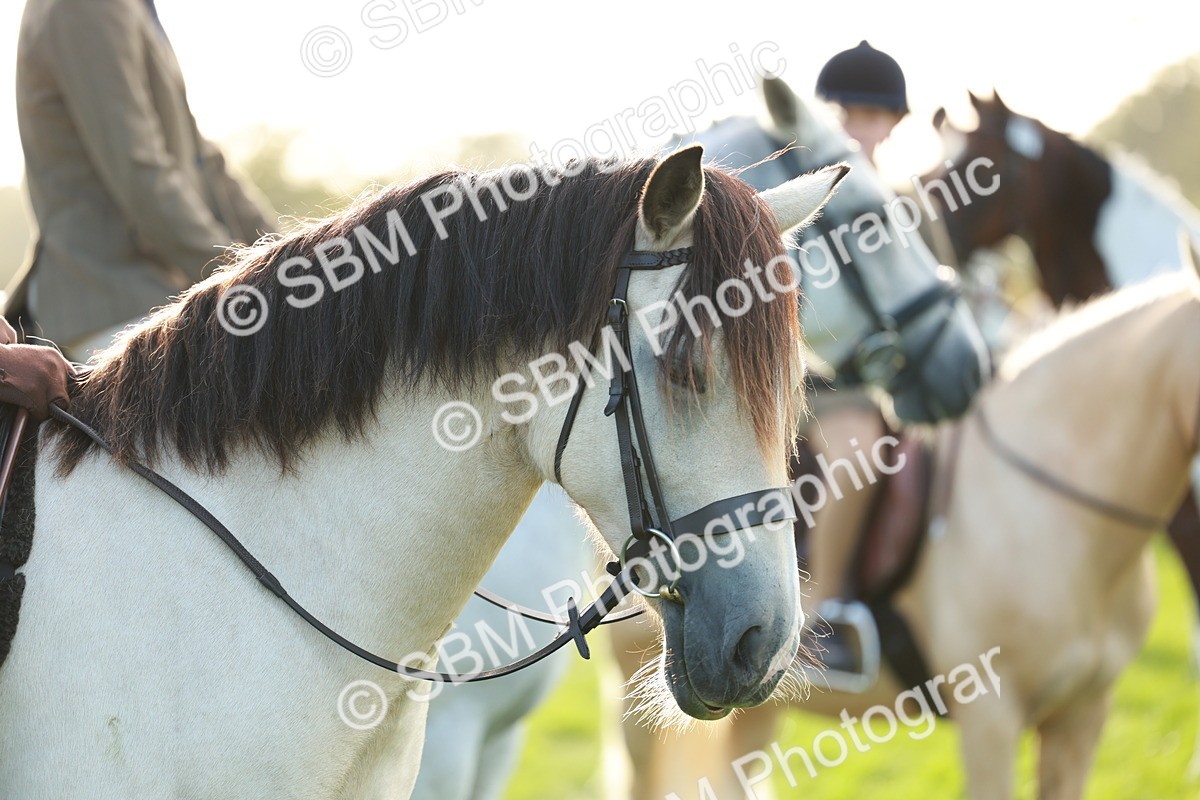 SBM_28803 - S7 - Novice & Newcomer Ridden Pony