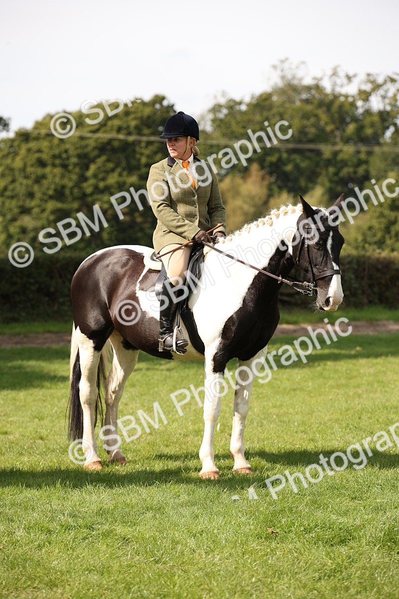 SBM_70104 - S65 - Piebald & Skewbald Horse Ridden