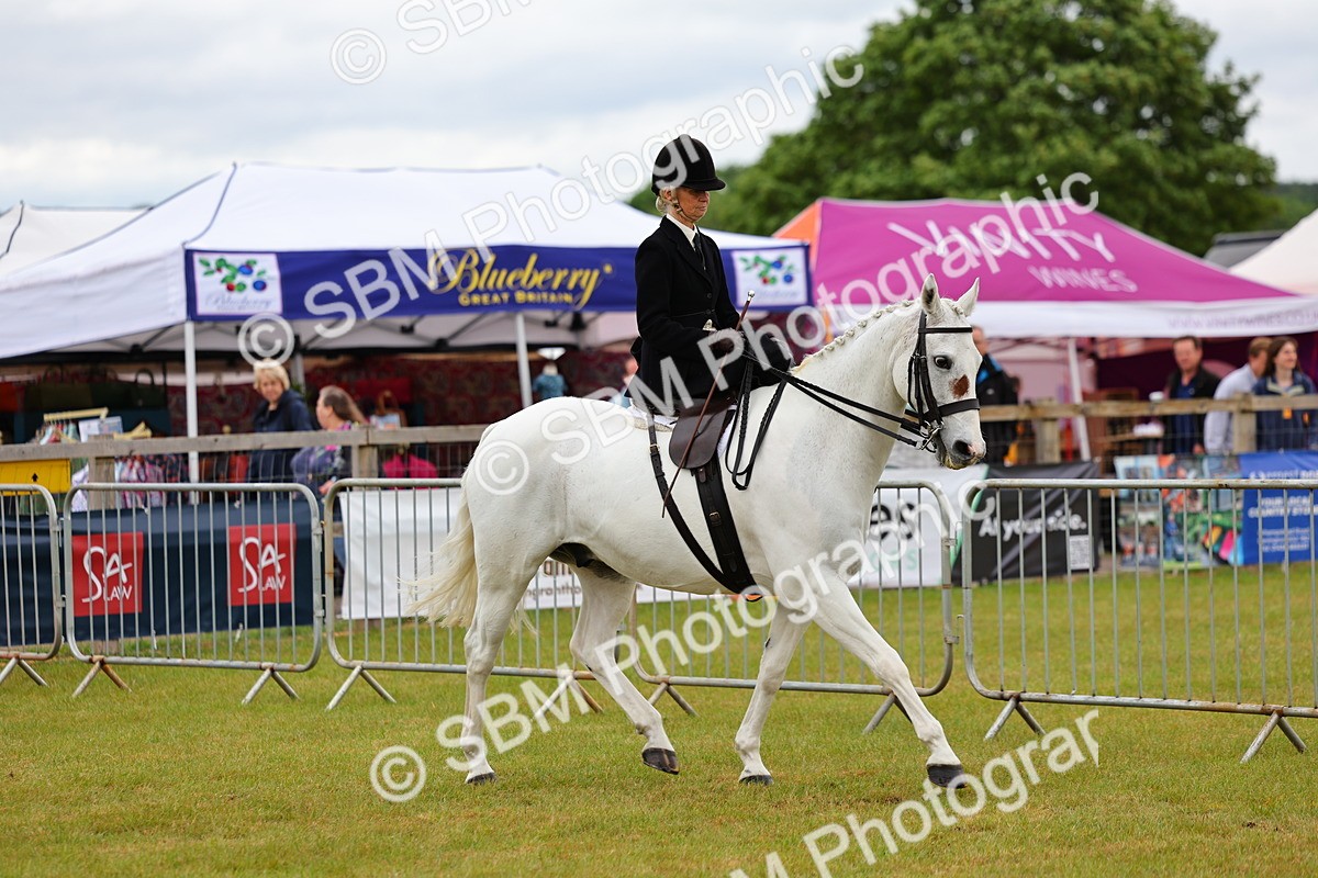SBM_02713 - Class 9-11 Side Saddle including LIHS Rising Star Ladies Show Horse