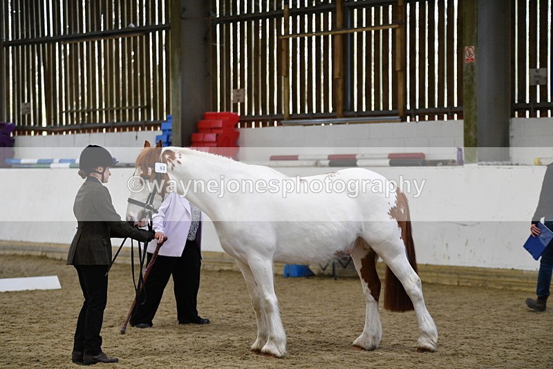 WJ5_5056 - Class 7 In hand coloured / odd coloured