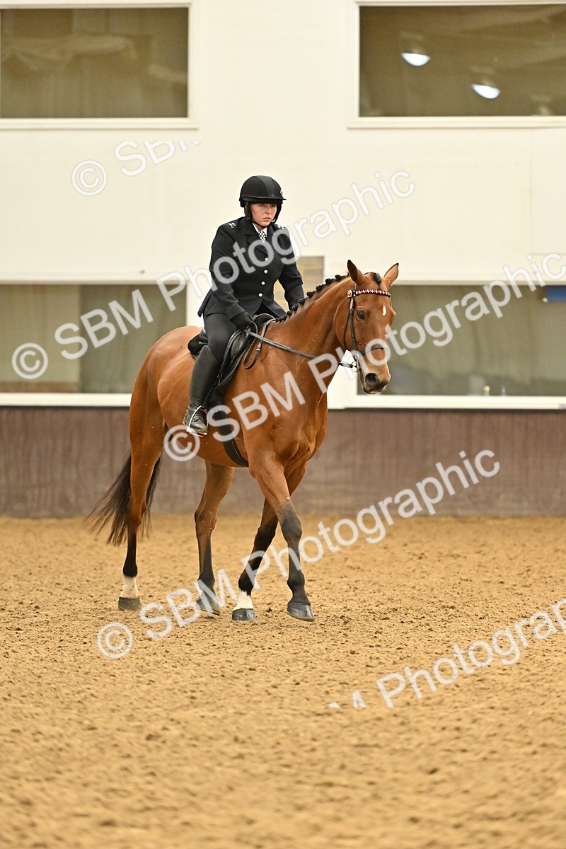 SBM_002003 - Class 24 - BSHA Ridden Racehorse to Show Horse