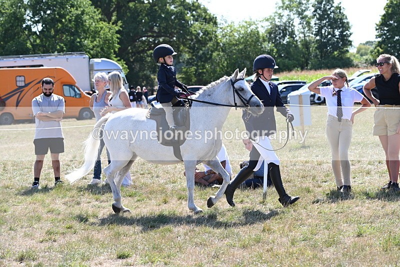 WJ6_7778 - Class 36 Lead Rein