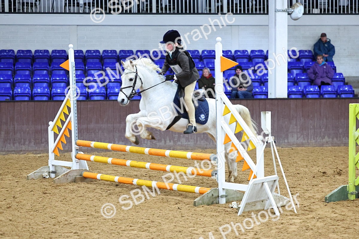 SBM_001241 - Class 3 - Christmas Tree Stakes - 60cm