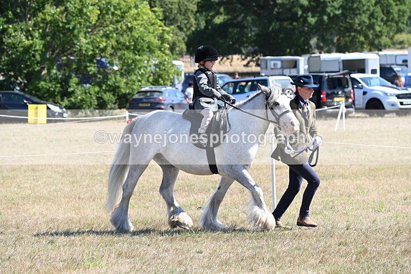 WJ6_7812 - Class 36 Lead Rein