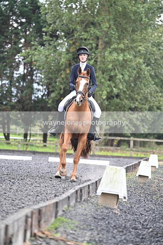 WJ7_6679 - Time 14:49 to 15:14