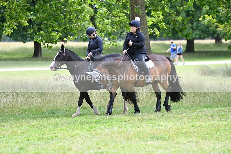 WJ5_0117 - Time at Jump 10:44 to 11:31