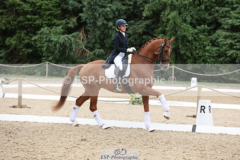 240810-164235-04427 - PSG Silver