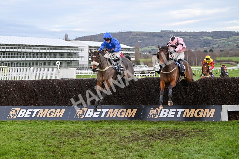 141224-Race 5-Libberty Hunter-2012 - Race 5