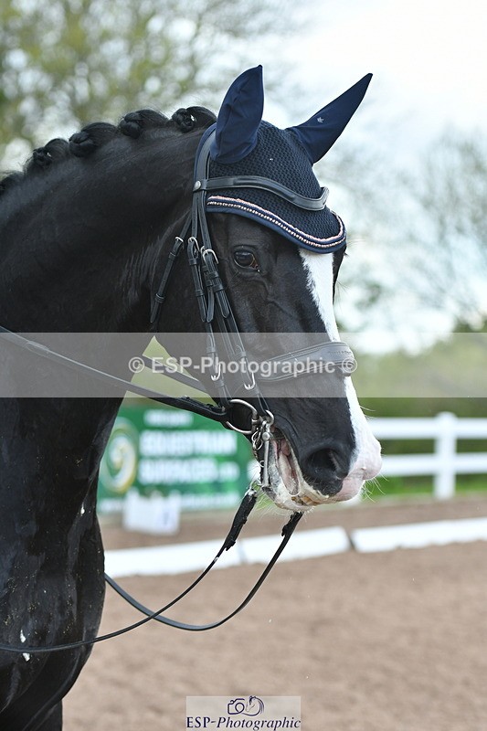 230511A-162751-01376 - BD Cls 18 FEI PSG