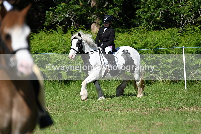 WJ7_0520 - Class 8 First Rally Pony