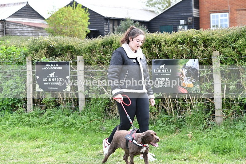 WJ5_9926 - Class 5 Best Veteran / 7 years & over