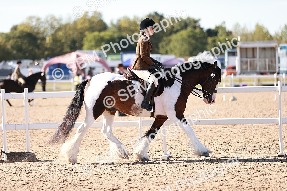 SBM_12452 - Class 403 - Grassroots Ridden - Junior
