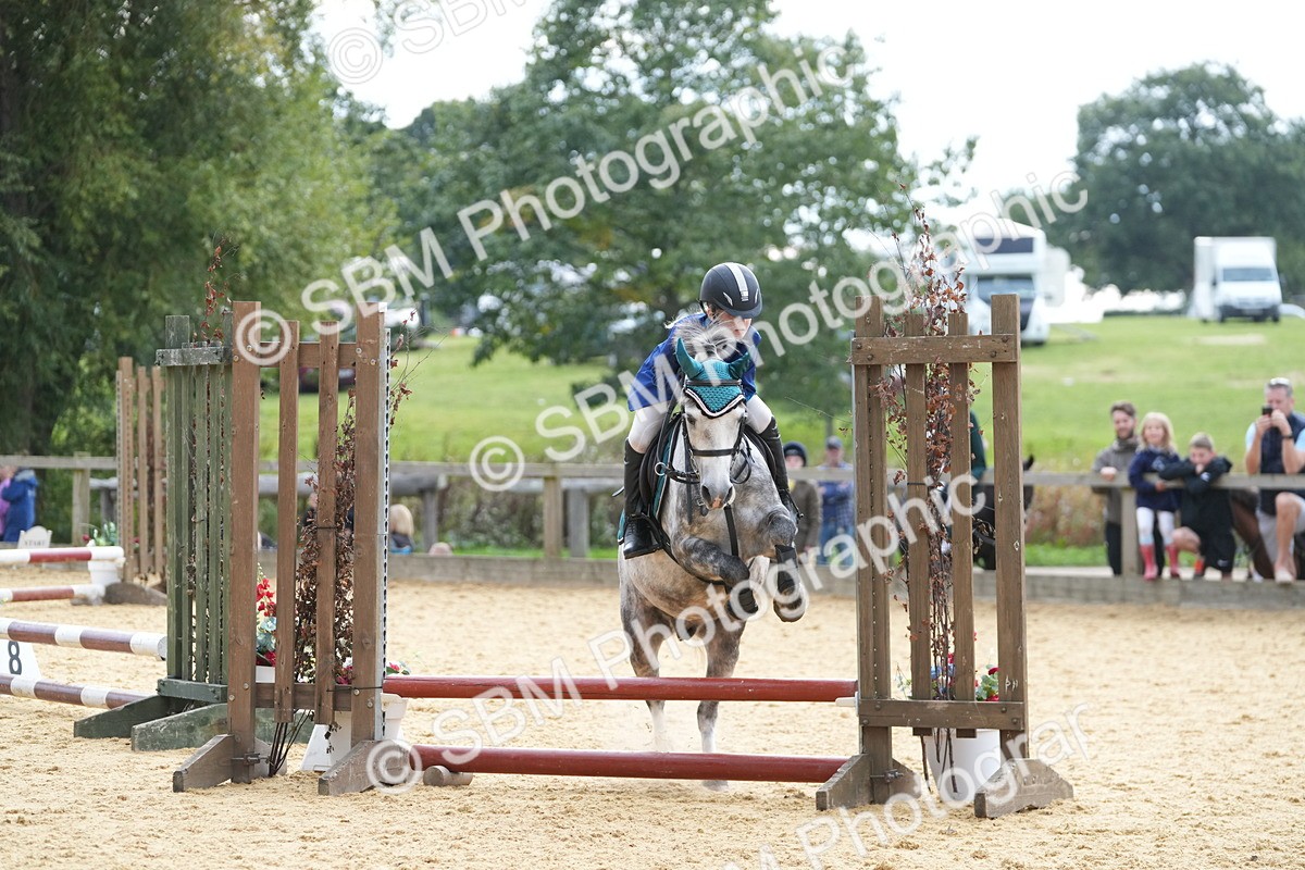 SBM_74709 - J4 - Mini Tour Junior Pony 45cm Championship