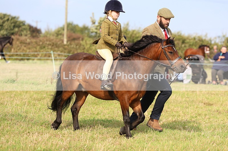3E7A3638 - Class 2: Lead rein