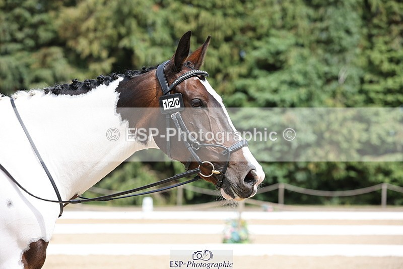 250718A-150601-02380 - 120-Jodie.Stafford-Searle-Shania