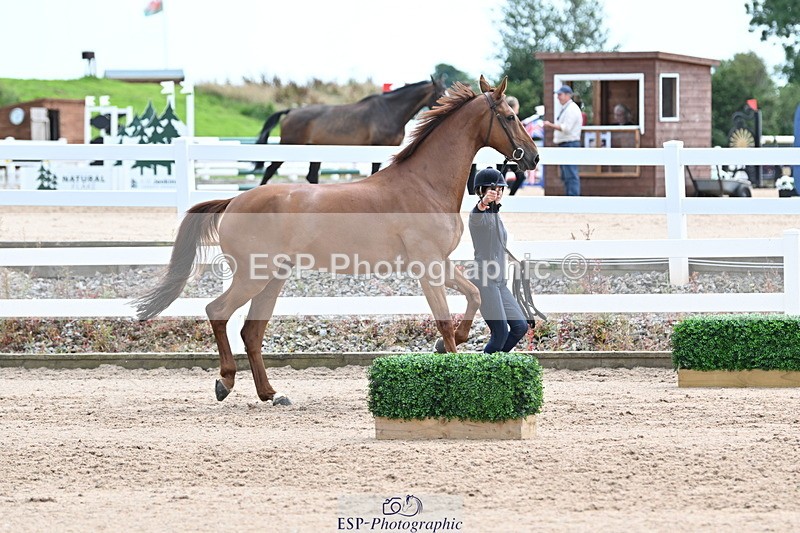 240717A-143008-02088 - Trot Up 2pm to 3pm - This folder is not in time order