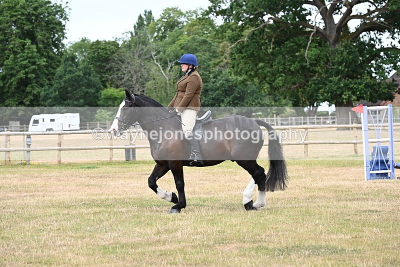 WJ6_3873 - Class 9 Tack & Turnout