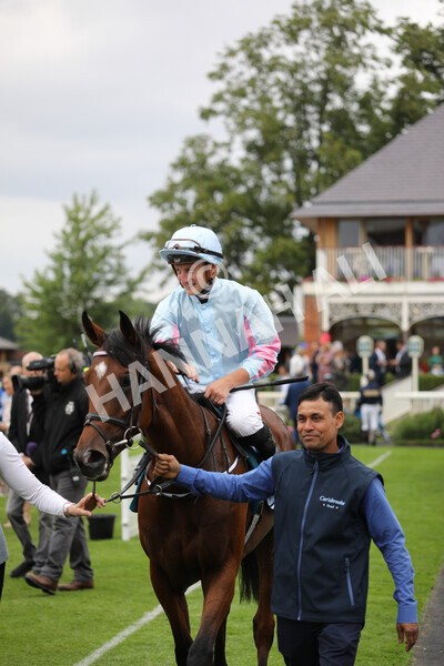 yr18082022r6-50 - Race 6 4.45 pm OR8wellness ebfstallions Nursery Handicap