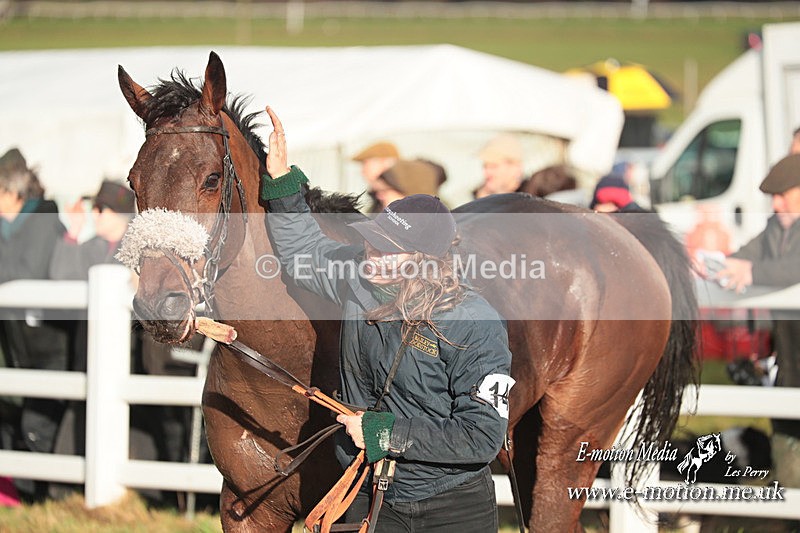 PtP 101223 898 - New Forest Hounds PtP Larkhill 10/12/23