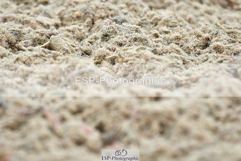 230630A-111201-01302 - Cls 5 Novice 37A