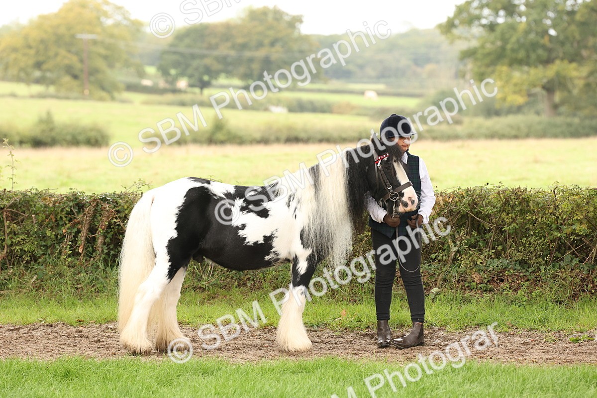 SBM_59247 - S57 - Traditional Cob In Hand