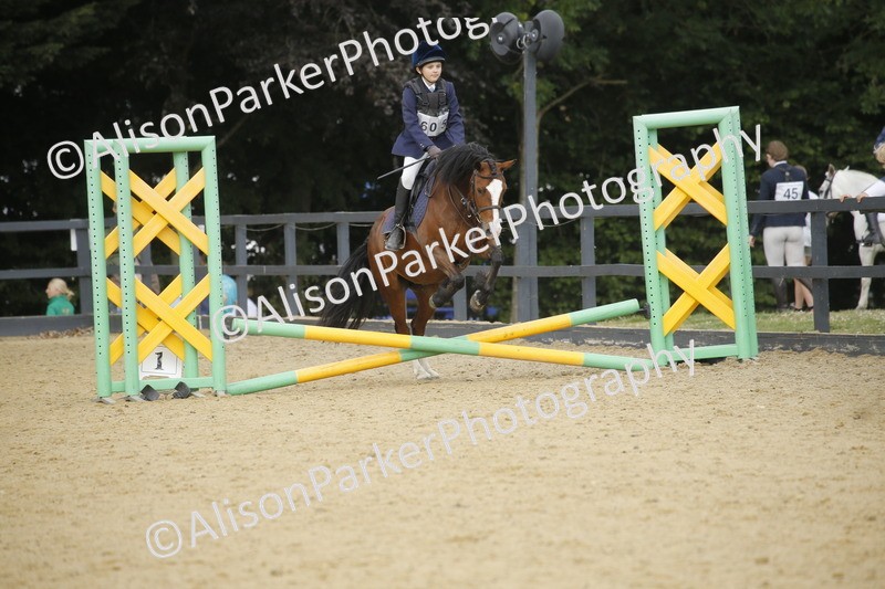 20250622-3625 - 50cm