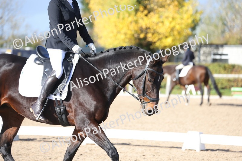 20251101-0588 - Class 4 - Novice 2