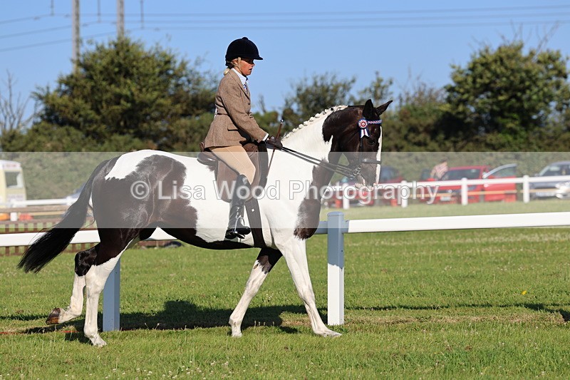 IMG_1222 - Class 27: Ridden Plaited Coloured Horse