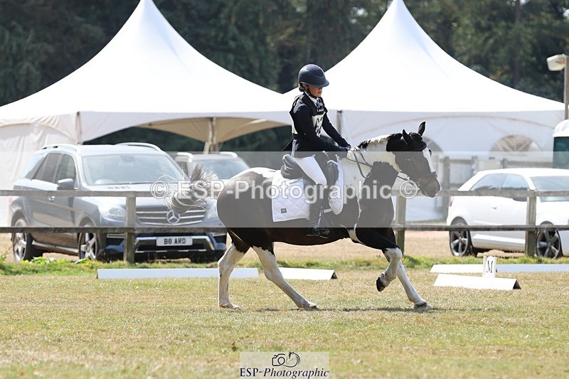 250823A-124625-29893 - Arena C