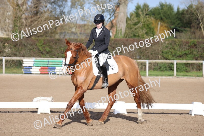 20260128-0320 - Class 3 - Novice 4