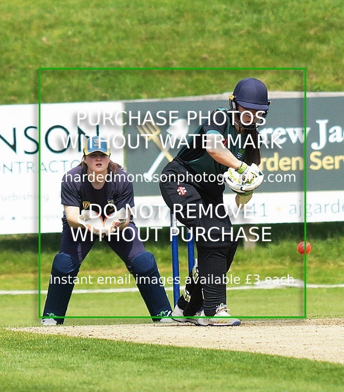 DSC01066 - Cumbria Womans Twenty-20