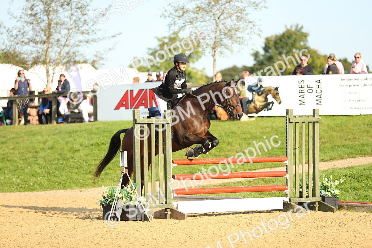 SBM_60225 - J41 - Grand Tour 95cm Championship