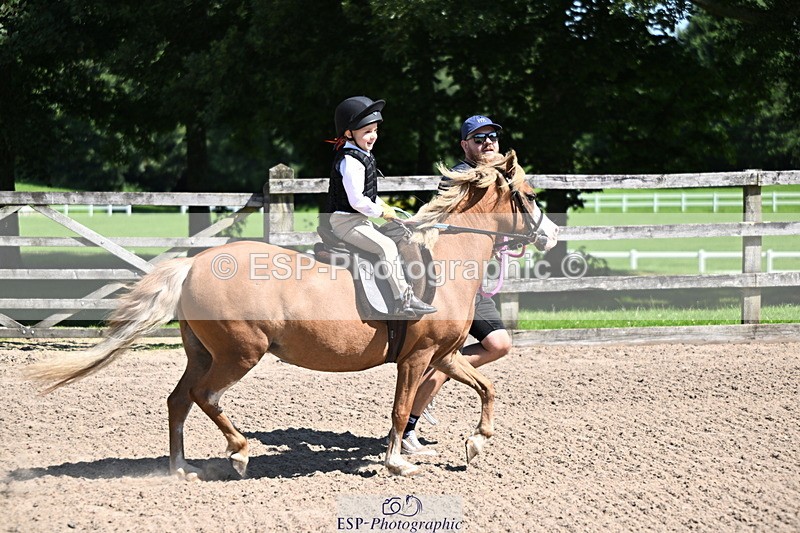 240729B-111816-02312 - Showjumping Competition