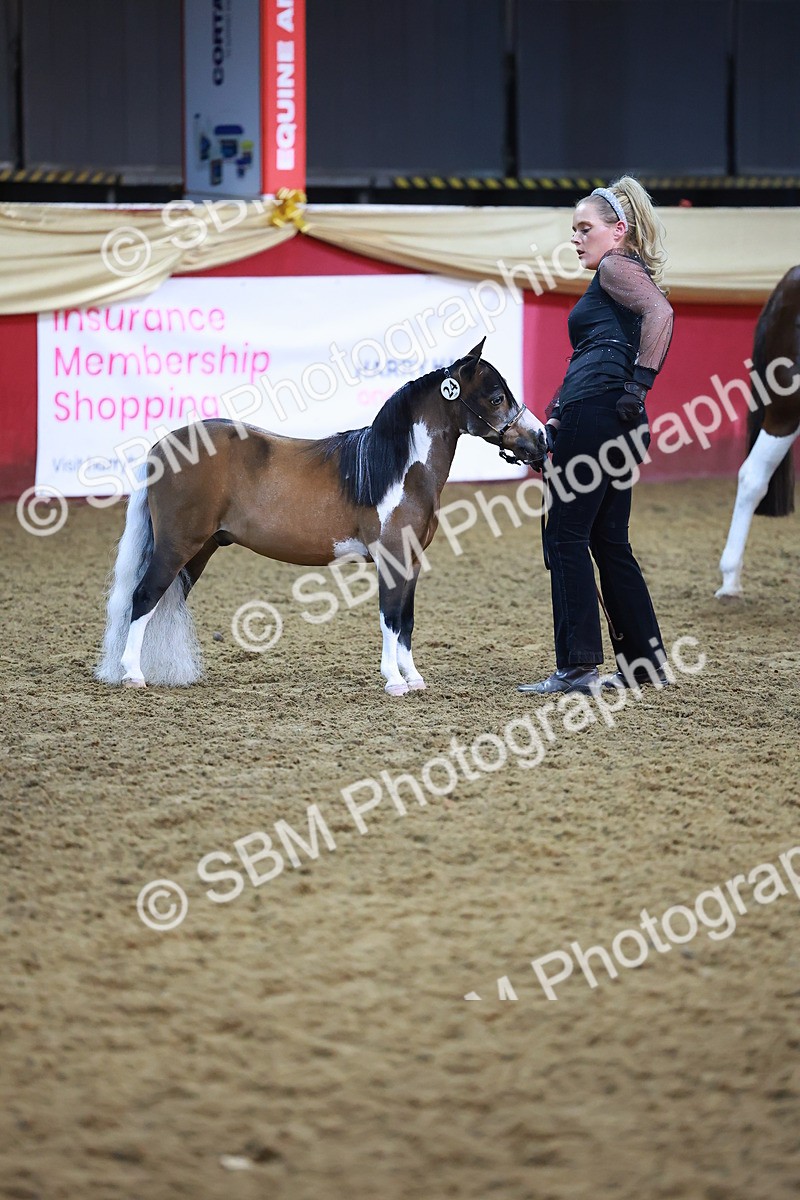 SBM_14897 - Class F - IH Small Champ