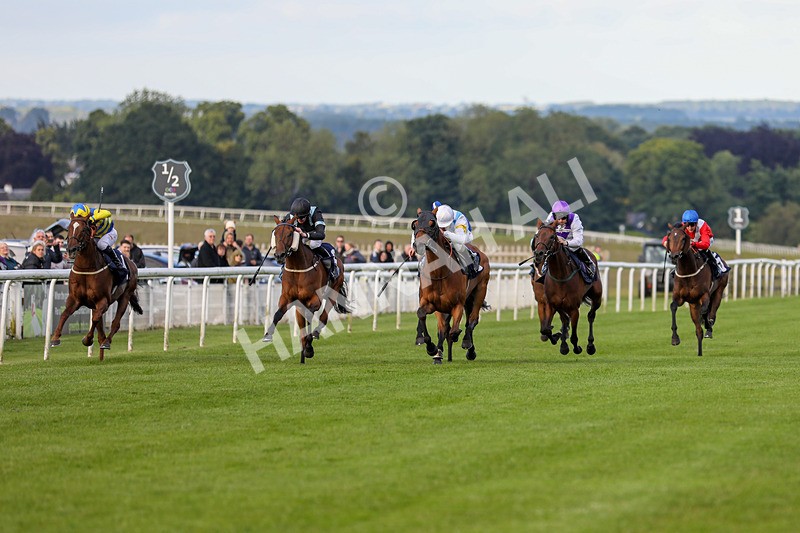 180624-Race 4-Distinction-8016 - Race 4