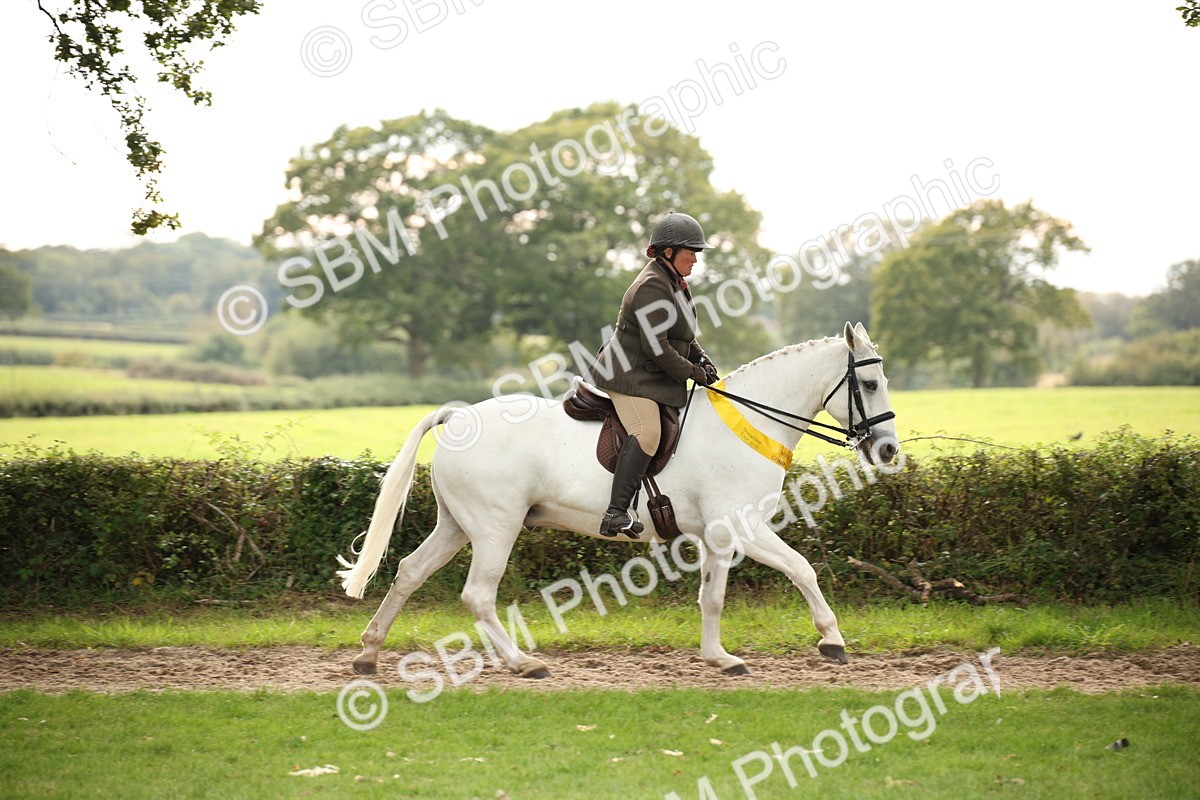 SBM_73638 - Ridden Horse Supreme Championship