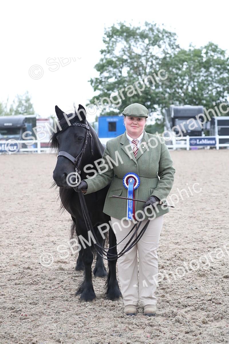 SBM_18004 - Class 317 IH Pure bred Horse/Pony