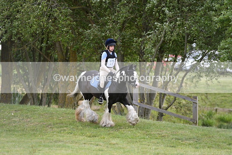 WJ5_2747 - Class 2 40cm