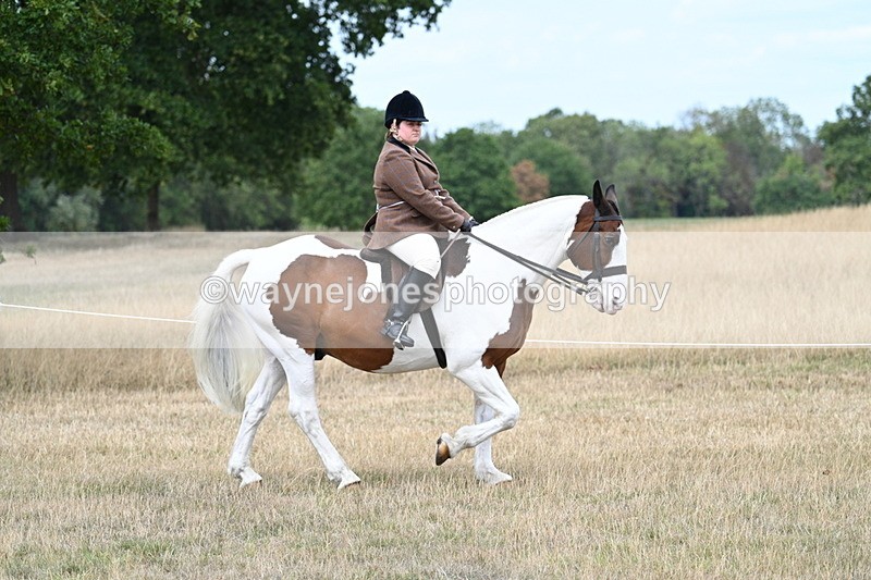 WJ7_4651 - Class 12 Ridden Cob