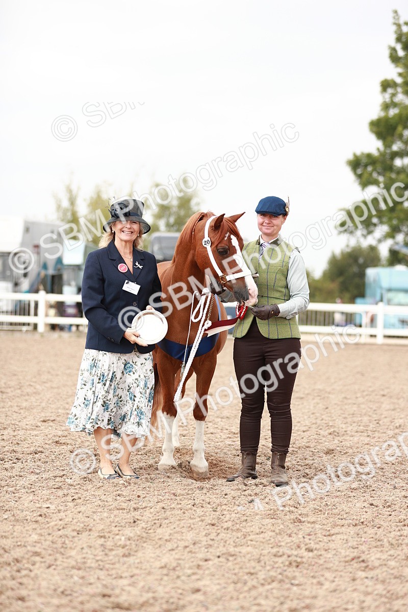 SBM_12550 - Class 207 IH M&M