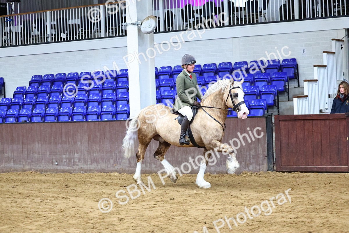 SBM_003506 - Class 37 - 80cm Training Stakes