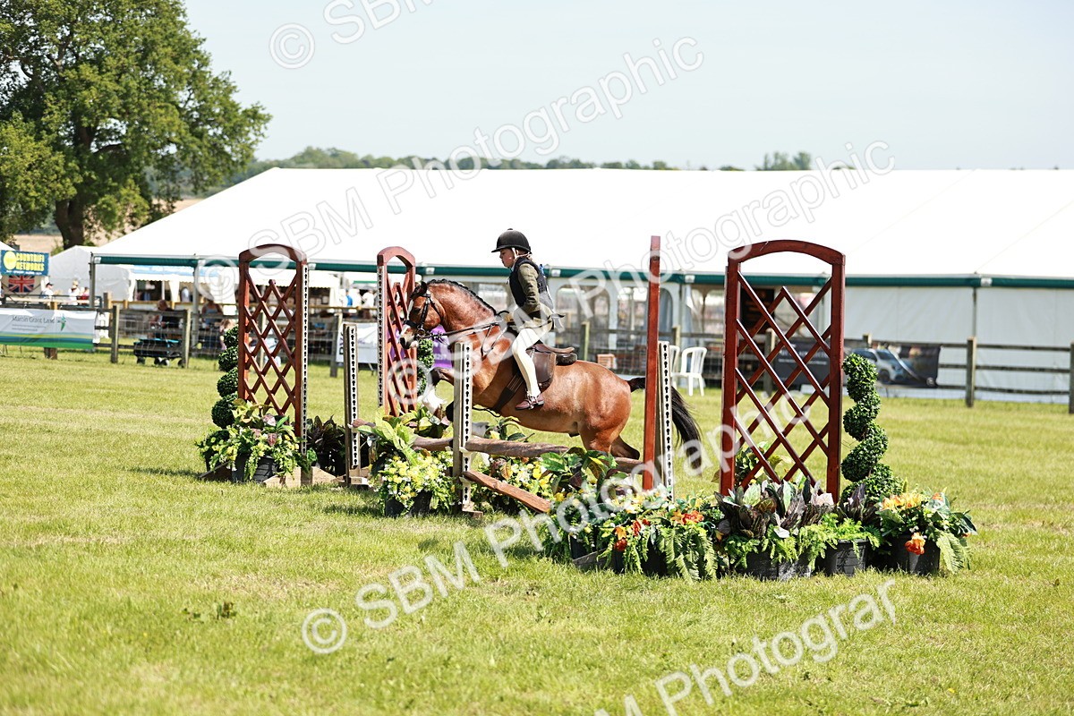 SBM_13558 - Class 108-109 - BSPS LIHS Open Gradle & Nursery Stakes