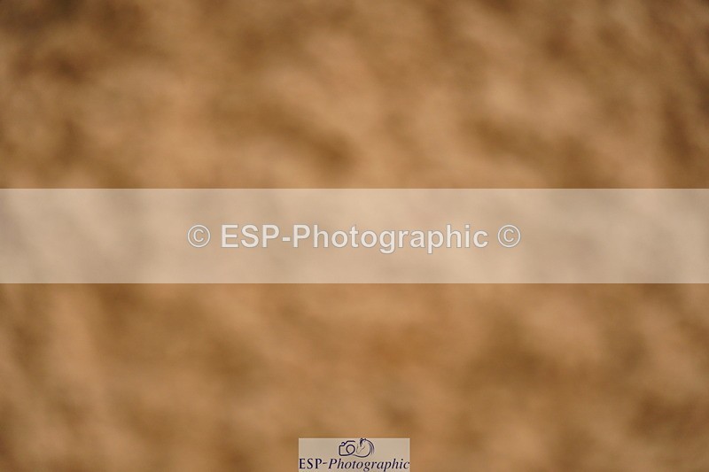 240526A-125938-08212 - Cls 27 Chard Equ May Grand Prix