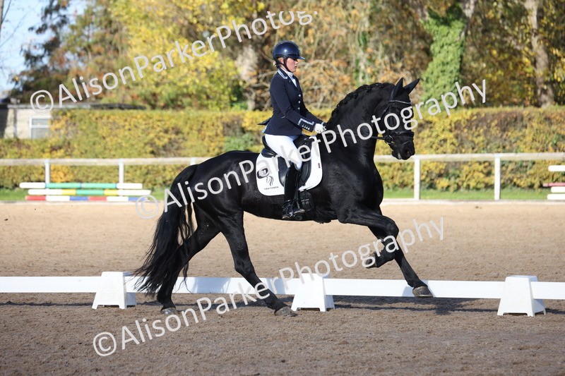 20251102-0561 - Class 3 - Novice 5